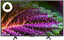 43" (108 см) Телевизор DEXP U43F8100Q серый [Direct LED, 4K UltraHD, Wi-Fi, 60 Гц, YaOS, HDMI х 3, USB х 2 шт]