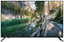32" (80 см) Телевизор KIVI 32H550NB черный [Direct LED, HD, 60 Гц, HDMI х 2, USB х 1 шт]