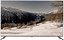 55" (139 см) Телевизор DEXP 55UCGQ2 серый [Direct LED, QLED, 4K UltraHD, Wi-Fi, 60 Гц, Android TV, HDMI х 4, USB х 2 шт]