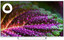 55" (139 см) Телевизор DEXP U55H8051E серый [Direct LED, 4K UltraHD, Wi-Fi, 60 Гц, YaOS, HDMI х 3, USB х 2 шт]