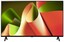 65" (163 см) Телевизор LG OLED65B4RLA черный [OLED, 4K UltraHD, Wi-Fi, 120 Гц, webOS, HDMI х 4, USB х 2 шт]