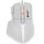 Мышь проводная CANYON Fortnax GM-636 [CND-SGM636W] белый [20000 dpi, светодиодный, USB Type-A, кнопки - 8]
