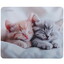 Коврик Aceline OM-XS Kitten (XS) разноцветный [полиэстер, 220 мм x 180 мм x 3 мм, рисунок - животные]