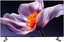 55" (138 см) Телевизор Xiaomi TV S Pro Mini LED 55 2026 серый [Mini LED, QLED, 4K UltraHD, Wi-Fi, 144 Гц, Android TV, HDMI х 3, USB х 2 шт]