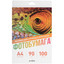Фотобумага Aceline Matte [A4, 90 г/м², 100 л., покрытие - матовое, 5760 dpi]