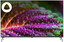 43" (108 см) Телевизор DEXP U43G9000C серый [Direct LED, 4K UltraHD, Wi-Fi, 60 Гц, YaOS, HDMI х 3, USB х 2 шт]