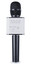Микрофон SoundWave Q9 черный [беспроводной, караоке с колонкой, 115 дБ, от 30 Гц до 20000 Гц, micro USB, USB Type-A]