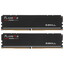Оперативная память G.Skill Flare X5 [F5-6000J3636F16GX2-FX5] 32 ГБ [DDR5, 16 ГБx2 шт, 6000 МГц, 36(CL)-36-36-96]