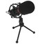 Микрофон Redragon Blazar GM300 черный [проводной, настольный, -45 дБ, от 20 Гц до 20000 Гц, кабель - 170 см, USB Type-B]
