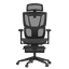 Компьютерное кресло FLEXISPOT C7B-Mesh-FT черный [сетка, до 136 кг, подголовник, подлокотники - 3D]