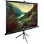 122.49" Экран для проектора Cactus TriExpert CS-PSTE-220X220-BK [1:1, 220x220 см, напольный, штатив, Matte White]