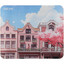 Коврик DEXP Cartoon Cities (M) разноцветный [полиэстер, 350 мм x 300 мм x 4 мм, рисунок - азия]