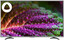 55" (139 см) Телевизор DEXP U55G8000Q серый [Direct LED, 4K UltraHD, Wi-Fi, 60 Гц, YaOS, HDMI х 3, USB х 2 шт]