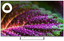 43" (108 см) Телевизор DEXP U43H8051E серый [Direct LED, 4K UltraHD, Wi-Fi, 60 Гц, YaOS, HDMI х 3, USB х 2 шт]