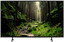 50" (126 см) Телевизор Sony KD-50X75K черный [Direct LED, 4K UltraHD, Wi-Fi, 60 Гц, Android TV, HDMI х 3, USB х 2 шт]