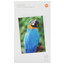 Фотобумага Xiaomi Instant Photo Paper 6" [40 фото]