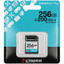 Карта памяти Kingston Canvas Go! Plus SDXC 256 ГБ [SDG4/256GB] [Class 10, UHS Class 3, Video Class 30, запись - 170 Мбайт/сек, чтение - 170 Мбайт/сек]