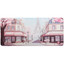 Коврик DEXP OM-CARTOON-CITIES-Paris XL (XL) розовый [полиэстер, 900 мм x 400 мм x 4 мм, рисунок - город]