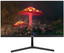 21.45" Монитор Sanc M2253 V2 черный [1920x1080@75 Гц, VA, LED, 1000:1, 250 Кд/м², 178°/178°, HDMI 1.4, VGA (D-Sub), AMD FreeSync]