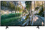 43" (109 см) Телевизор TCL 43P755 черный [Direct LED, 4K UltraHD, Wi-Fi, 60 Гц, Google TV, HDMI х 3, USB х 2 шт]