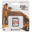 Карта памяти Kingston Canvas React Plus V60 SDXC 256 ГБ [SDR2V6/256GB] [Class 10, UHS Class 3, Video Class 60, запись - 150 Мбайт/сек, чтение - 280 Мбайт/сек]