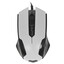 Мышь проводная QUMO Office M14 [24131] белый [1000 dpi, светодиодный, USB Type-A, кнопки - 3]
