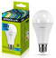 Лампа светодиодная Ergolux LED-A65-20W-E27-4K [E27, 20 Вт, 1920 лм, 4500 K, 170-265 В / 50 Гц]