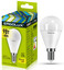 Лампа светодиодная Ergolux LED-G45-9W-E14-3K [E14, 9 Вт, 760 лм, 3000 K, 172-265 В / 50 Гц]