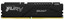 Оперативная память DDR5 UDIMM Kingston Fury Beast Black EXPO [KF560C30BBE-16] 16 ГБ [16 ГБ x 1 шт, 6000 МГц, CL30-36-36]