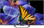 65" (165 см) Телевизор Haier 65 Smart TV S4 серый [Direct LED, HQLED, 4K UltraHD, Wi-Fi, 60 Гц, Android TV, HDMI х 4, USB х 2 шт]