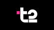 T2