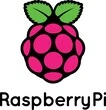 Raspberry logo