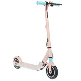 Электросамокат Ninebot eKickScooter Zing E8 розовый