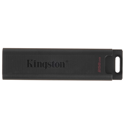 Купить Память USB Flash 256 ГБ Kingston DataTraveler Max [DTMAX/256GB] в интернет-магазине DNS. Характеристики, цена Kingston DataTraveler Max | 4861672.