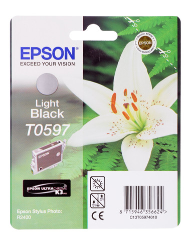 Купить Картридж Epson T0597 серый в интернет-магазине DNS. Характеристики, цена Epson T0597 | 0010521.