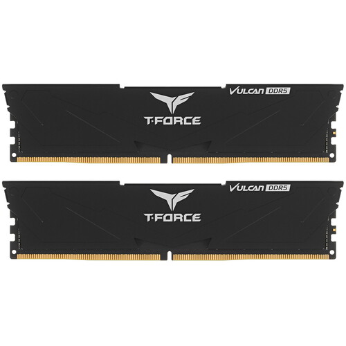 Купить Оперативная память Team Group T-Force Vulcan [FLBD564G6000HC38ADC01] 64 ГБ в интернет-магазине DNS. Характеристики, цена Team Group T-Force Vulcan | 5422178.