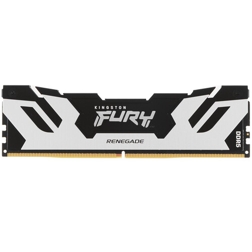 Купить Оперативная память Kingston FURY Renegade Silver [KF560C32RS-48] 48 ГБ в интернет-магазине DNS. Характеристики, цена Kingston FURY Renegade Silver | 5436233.