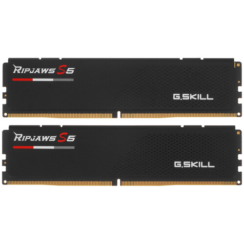 Купить Оперативная память G.Skill Ripjaws S5 [F5-6000J3238F16GX2-RS5K] 32 ГБ в интернет-магазине DNS. Характеристики, цена G.Skill Ripjaws S5 | 5031248.