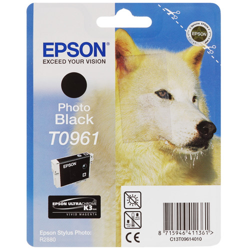 Купить Картридж Epson T0961 фото-черный в интернет-магазине DNS. Характеристики, цена Epson T0961 | 7932549.