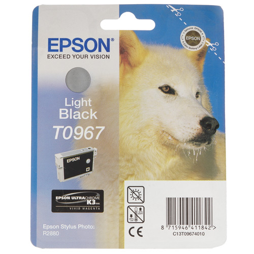 Купить Картридж Epson T0967 серый в интернет-магазине DNS. Характеристики, цена Epson T0967 | 7932523.