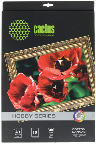 Купить Фотобумага Cactus CS-СA326010 в интернет-магазине DNS. Характеристики, цена Cactus CS-СA326010 | 7945490.