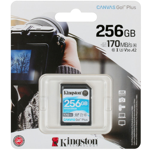 Купить Карта памяти Kingston Canvas Go! Plus SDXC 256 ГБ [SDG3/256GB] в интернет-магазине DNS. Характеристики, цена  | 1664091.