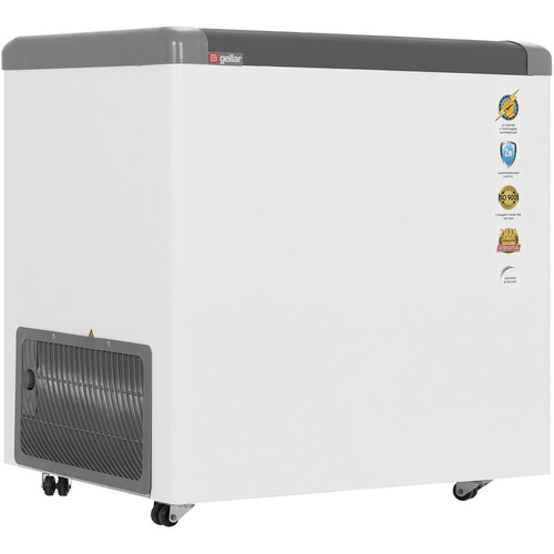 Купить Морозильный ларь Frostor Gellar FG 250 C белый, серый в интернет-магазине DNS. Характеристики, цена Frostor Gellar FG 250 C | 1229572.