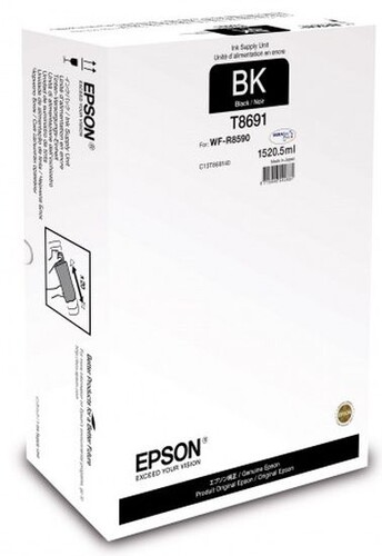 Купить Картридж Epson T8691 черный в интернет-магазине DNS. Характеристики, цена Epson T8691 | 1007858.