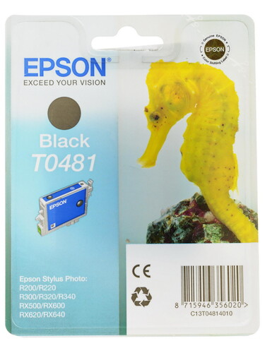 Купить Картридж Epson T0481 черный в интернет-магазине DNS. Характеристики, цена Epson T0481 | 0010472.