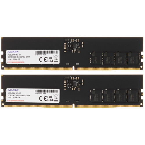 Купить Оперативная память ADATA [AD5U560016G-DT] 32 ГБ в интернет-магазине DNS. Характеристики, цена ADATA | 5406962.