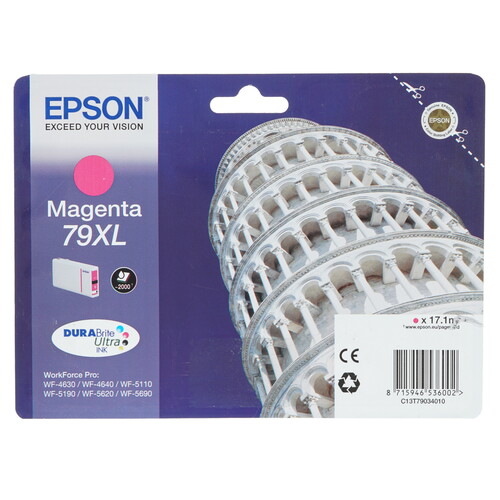 Купить Картридж Epson T7903 пурпурный в интернет-магазине DNS. Характеристики, цена Epson T7903 | 1022563.