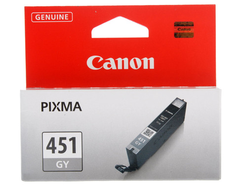 Купить Картридж Canon CLI-451GY серый в интернет-магазине DNS. Характеристики, цена Canon CLI-451GY | 0185918.