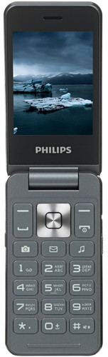 Купить Сотовый телефон Philips Xenium E2602 серый в интернет-магазине DNS. Характеристики, цена Philips Xenium E2602 | 5089458.