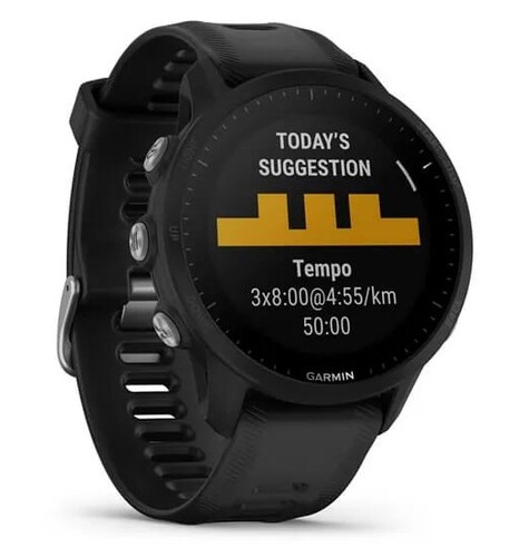 Купить Спортивные часы Garmin Forerunner 955 в интернет-магазине DNS. Характеристики, цена Garmin Forerunner 955 | 5085011.